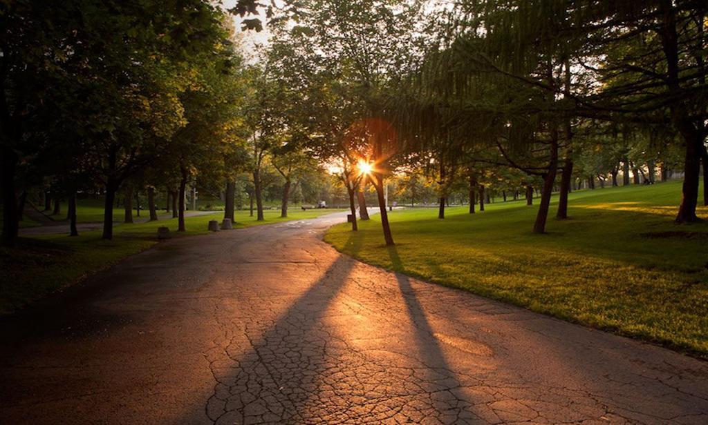 Gite Du Parc Lafontaine Montréal Buitenkant foto